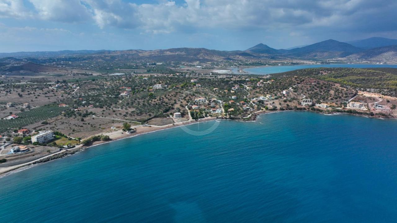 Vasiliki דירה